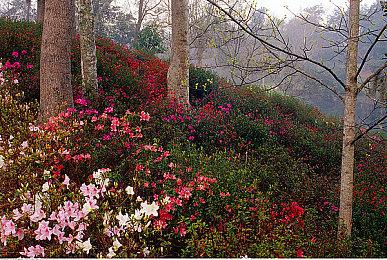 《GTA6》粉丝对泄露图稍作处理 画面更清晰效果更好